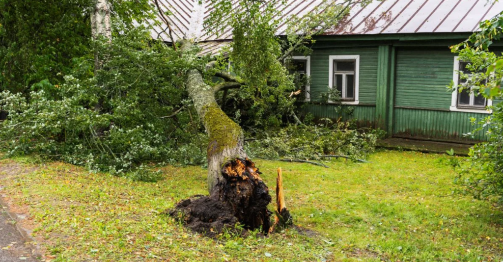 Homeowners Insurance
