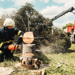 Tree Service Insuarance