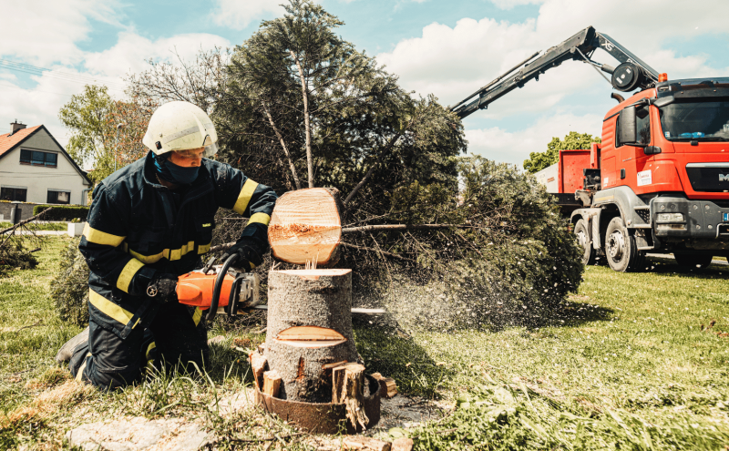 Tree Service Insuarance