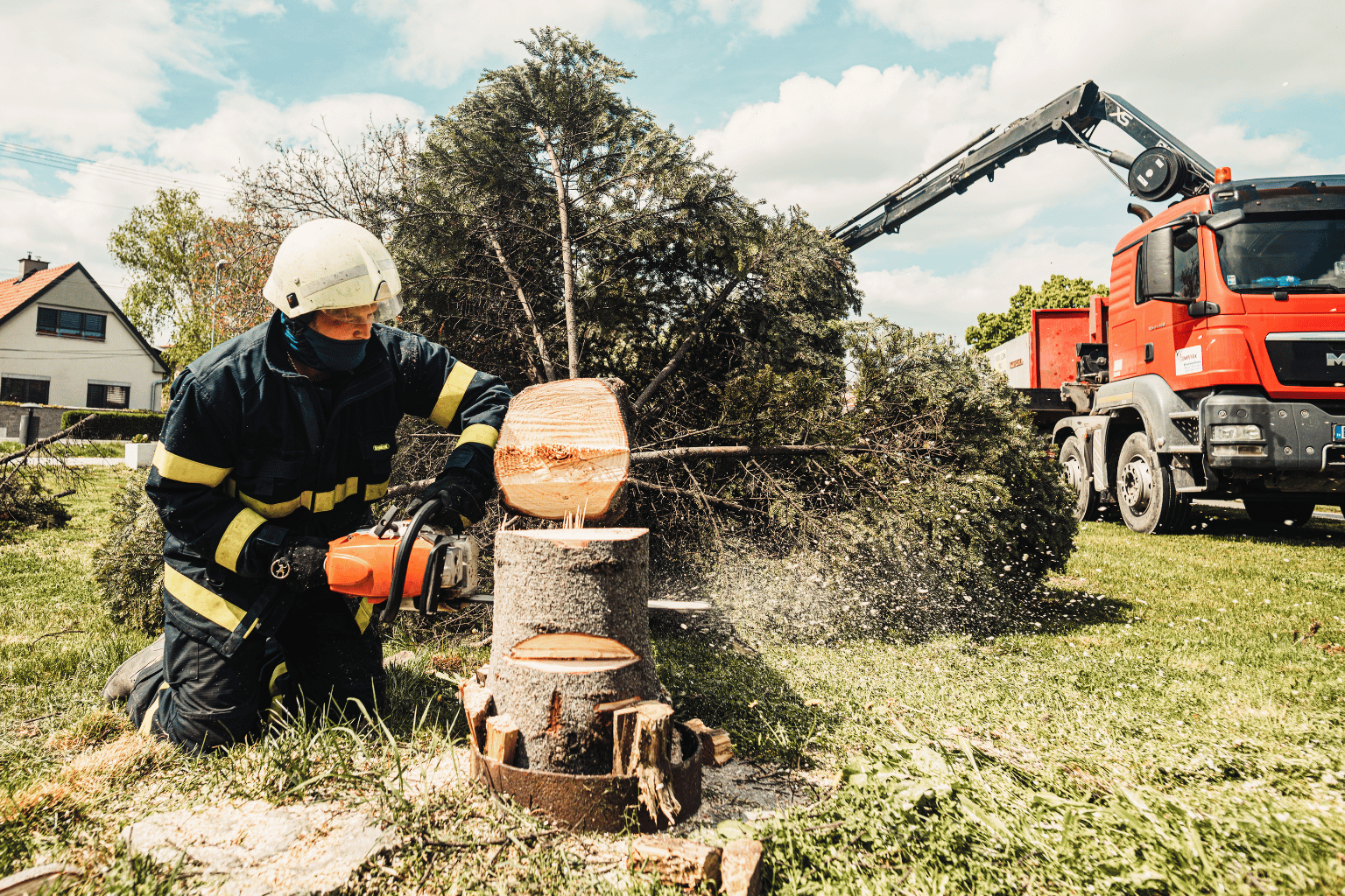 Tree Service Insuarance