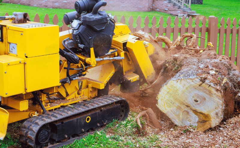 How to Remove a Palm Tree Stump