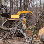 Remove Damaged Trees