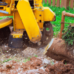 Tree Removal Services