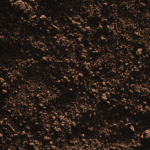 Why is Soil Health Important