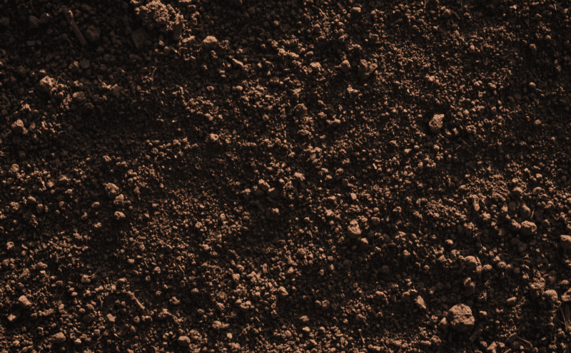 Why is Soil Health Important