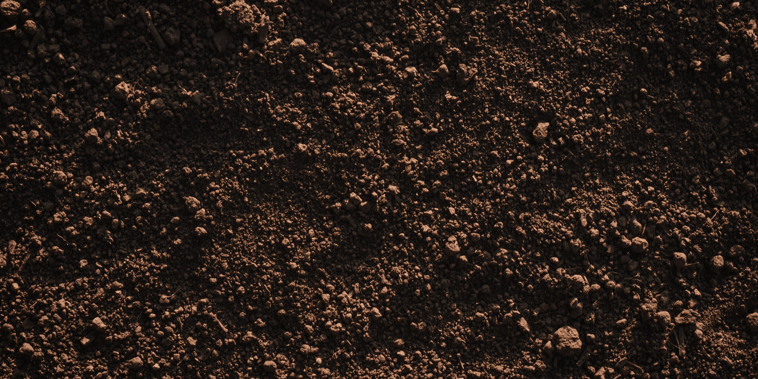Why is Soil Health Important