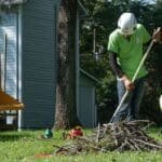 Tree Root Pruning to Prevent Damage and Protect Your Yard