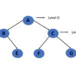 Understanding Trees in Data Structures: Concepts, Types, and Applications
