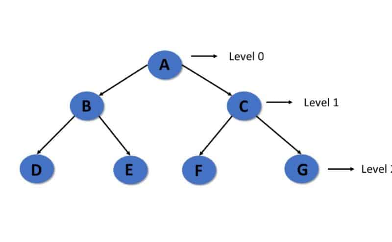 Understanding Trees in Data Structures: Concepts, Types, and Applications